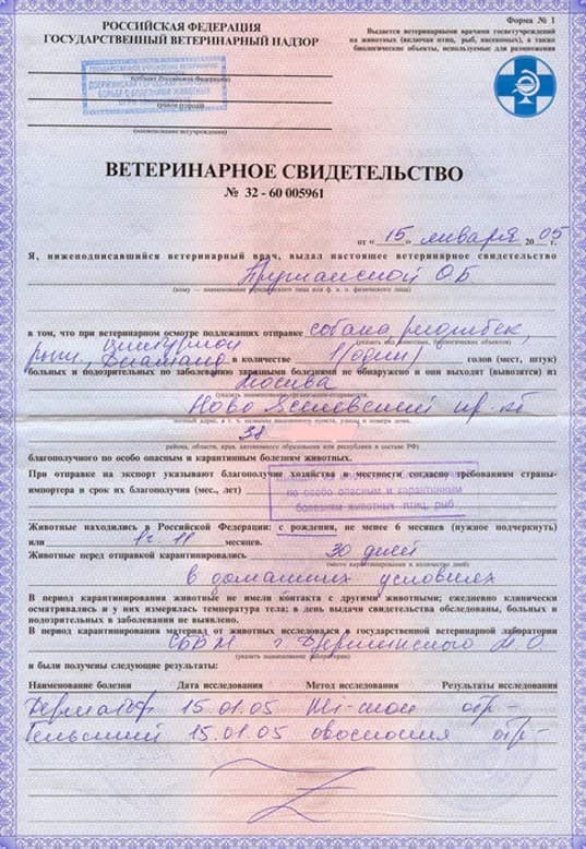 Справка для освобождения от физкультуры